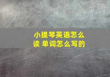 小提琴英语怎么读 单词怎么写的